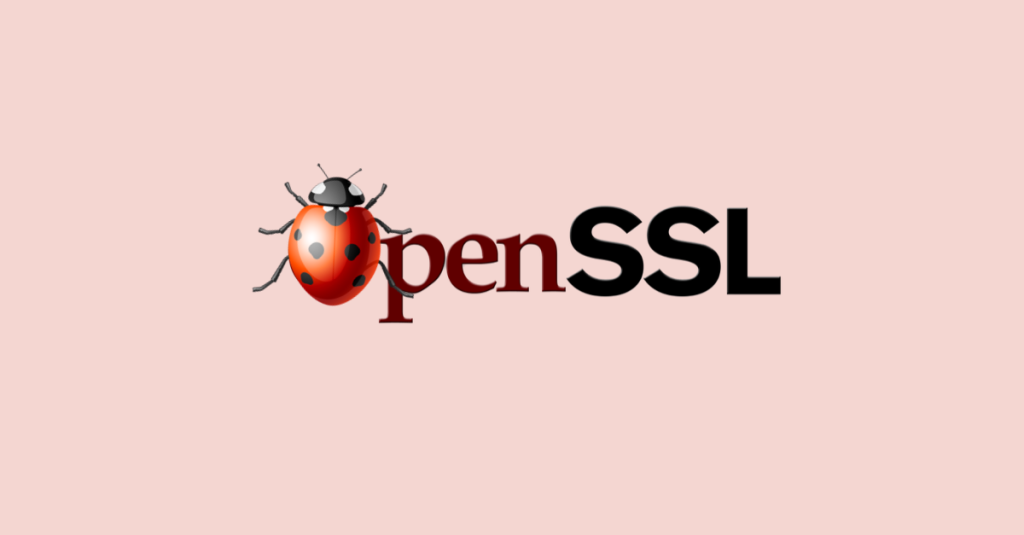 نحوه استخراج کلید خصوصی RSA با openSSL