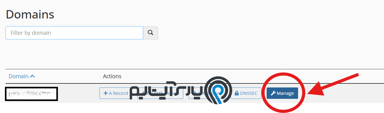 انتخاب manage برای مشاهده رکوردهای dns